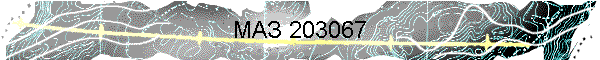 МАЗ 203067